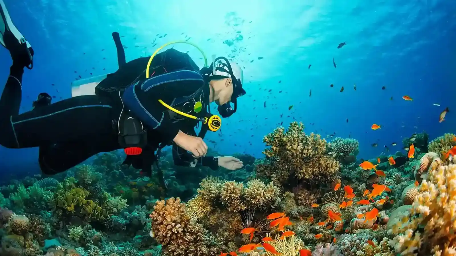 Raja Ampat Luxury Yacht Charters: Environmental Stewardship in 2027